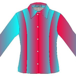 Moldes en 11 tallas de blusa corte clasico princesa