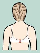 Back_band_height_altura_espalda_banda