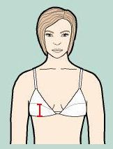 Breast_bottom_height_altura_inferior_seno-copa